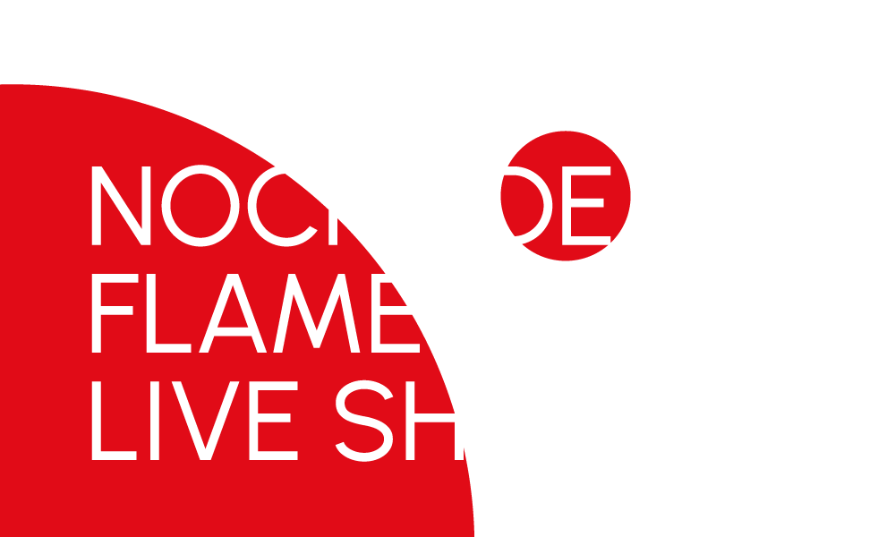 alivio posterior facultativo Noche de Flamenco Show – Radiocity